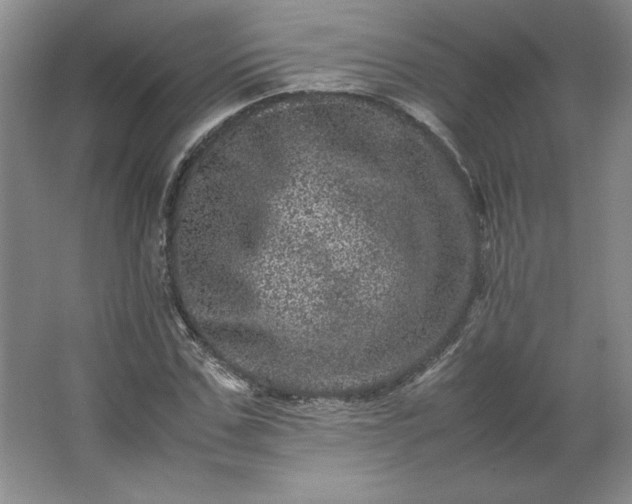 X0000062630971200512281551