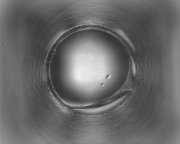 X0000062630972200512281551