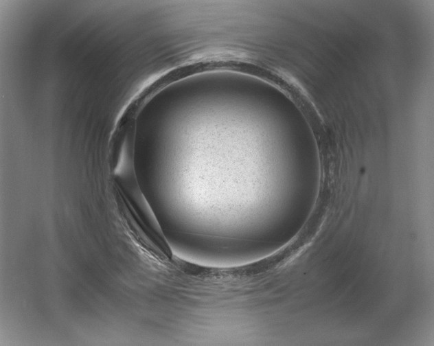 X0000062630973200512281551