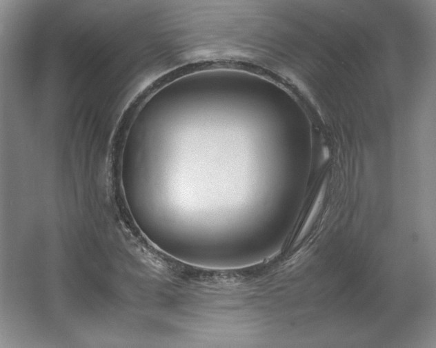 X0000062630975200512281551