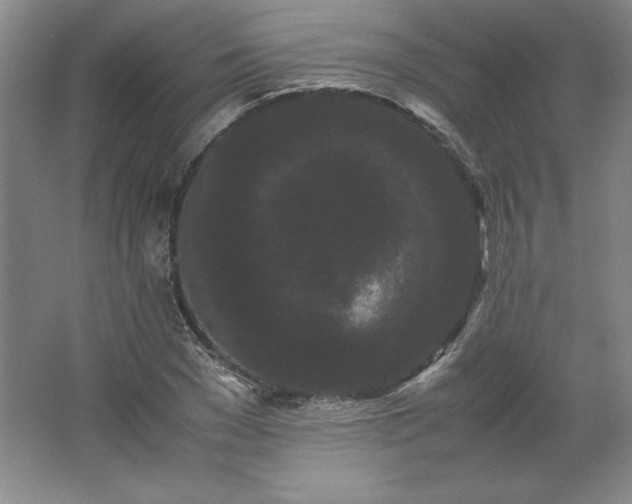 X0000062630977200512281551