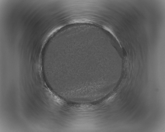 X0000062630979200512281551