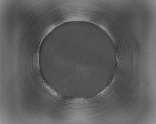 X0000062630982200512281551