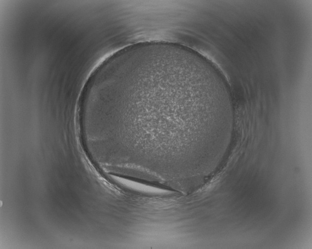 X0000062630983200512281551