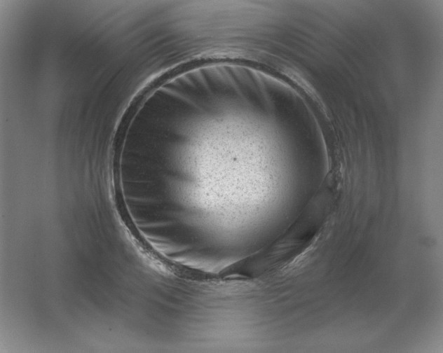 X0000062630984200512281551