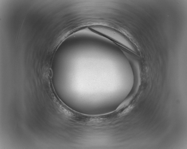 X0000062630985200512281551