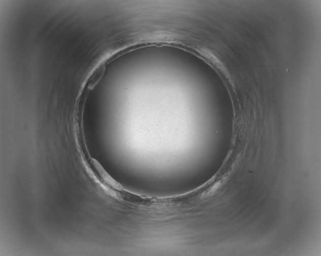 X0000062630989200512281551