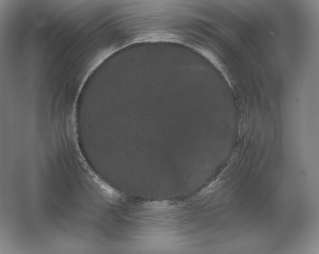 X0000062630990200512281551