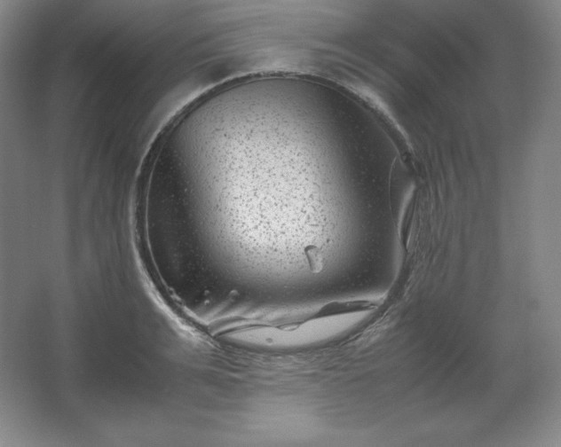 X0000062630991200512281551