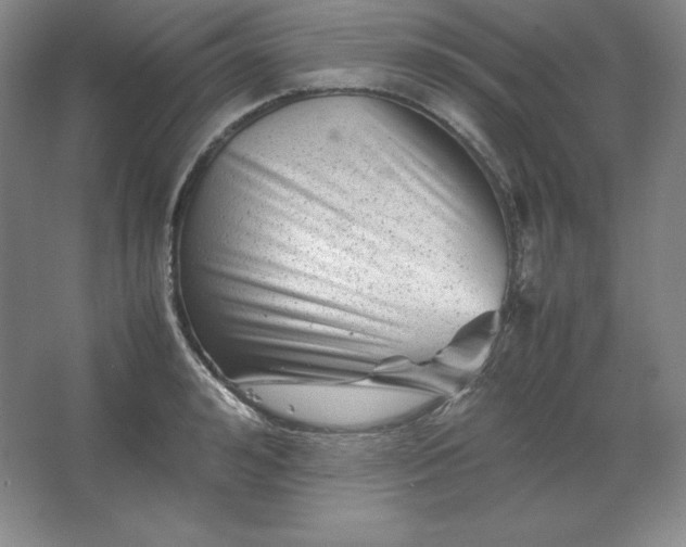 X0000062630992200512281551