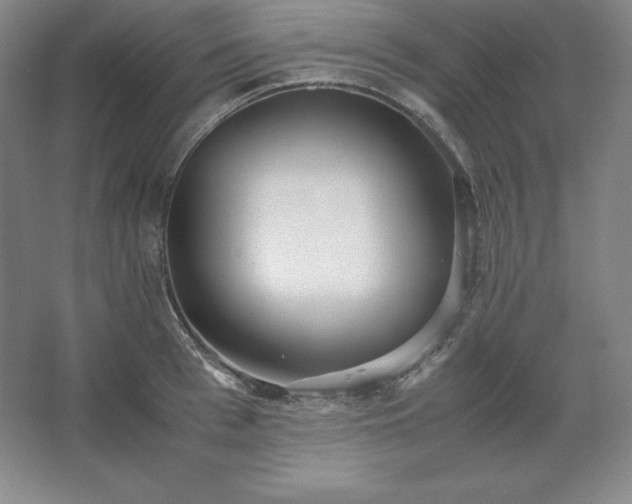 X0000062630993200512281551