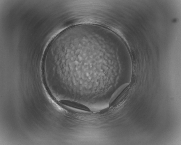 X0000062630995200512281550