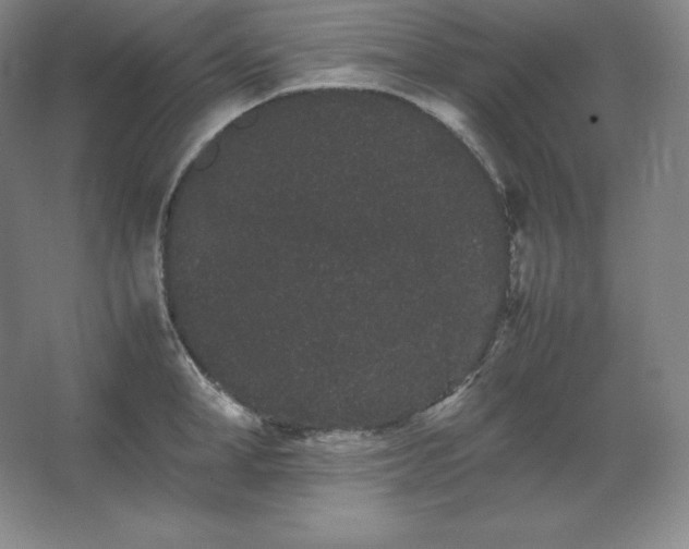 X0000062630998200512281550