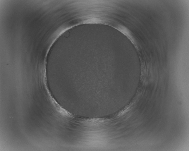 X0000062631000200512281550