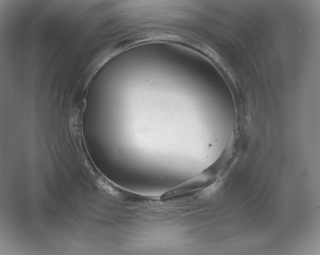 X0000062631001200512281550