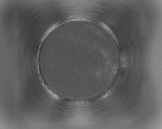 X0000062631002200512281550