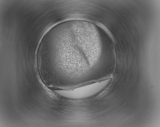 X0000062631004200512281550