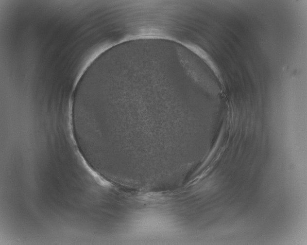 X0000062631006200512281550