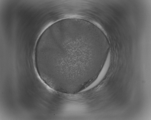 X0000062631007200512281550