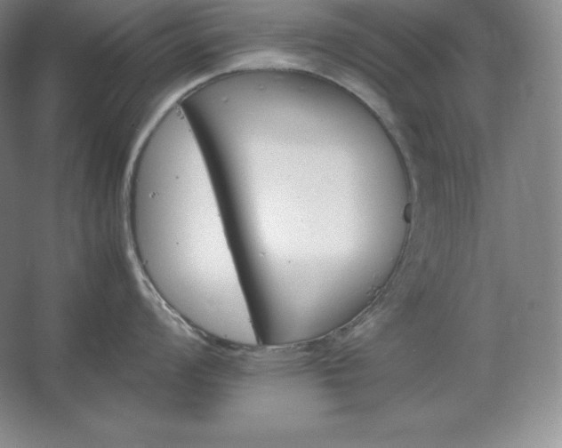 X0000062631008200512281550