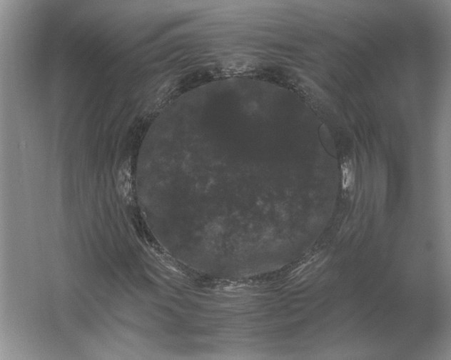 X0000062631011200512281549