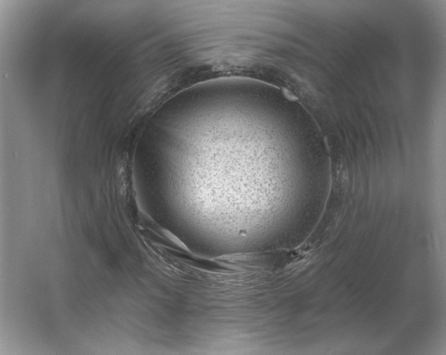 X0000062631012200512281549