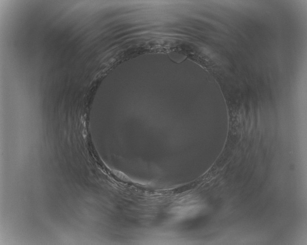 X0000062631013200512281550