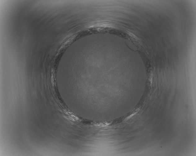 X0000062631014200512281550