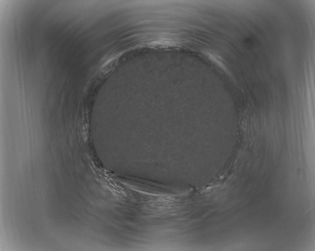 X0000062631015200512281550