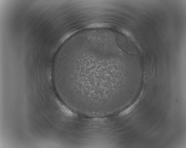 X0000062631017200512281550