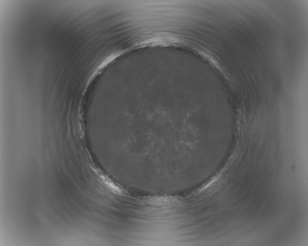 X0000062631018200512281550