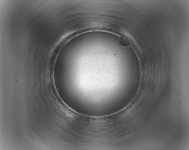 X0000062631019200512281550