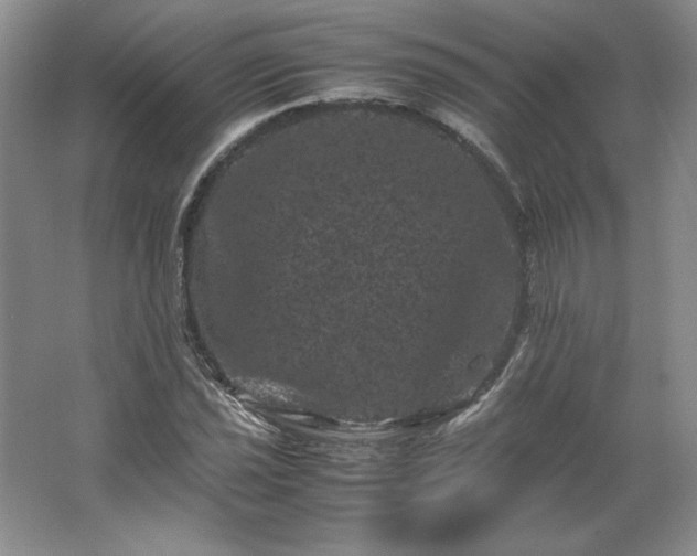 X0000062631021200512281550