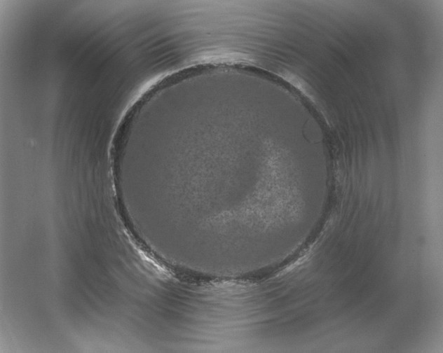 X0000062631022200512281550