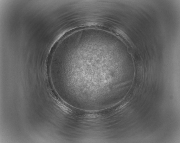 X0000062631023200512281550