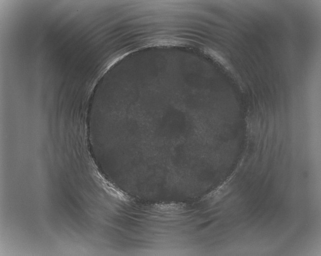 X0000062631025200512281550