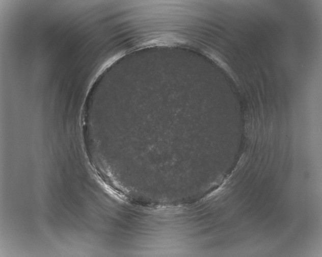 X0000062631026200512281550