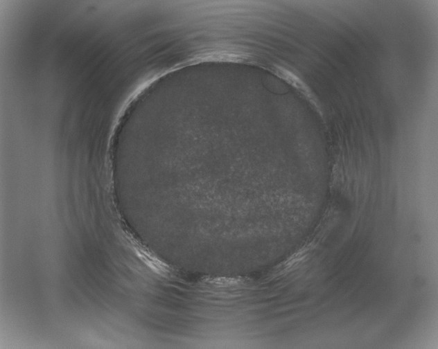 X0000062631027200512281550