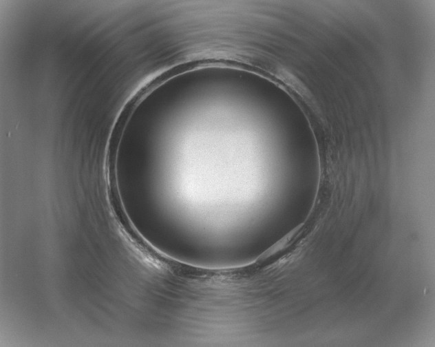 X0000062631028200512281550