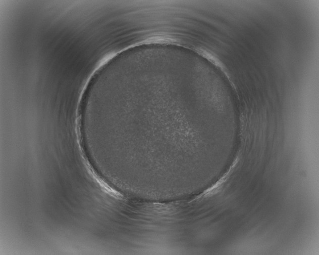 X0000062631029200512281550