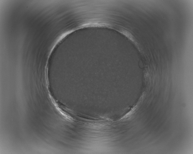 X0000062631030200512281550