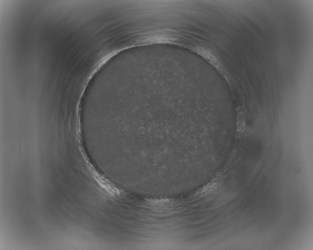 X0000062631031200512281550