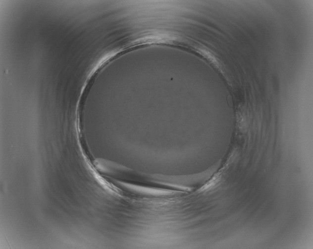 X0000062631034200512281550