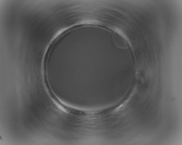 X0000062631037200512281550