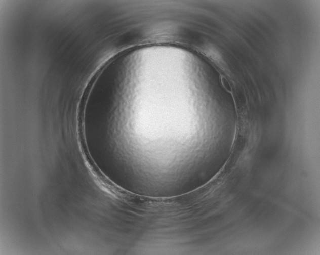 X0000062631039200512281550