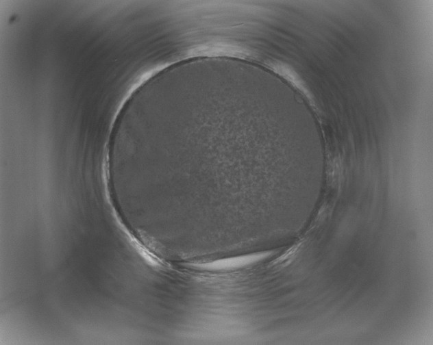 X0000062631040200512281550