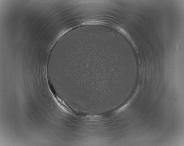 X0000062631041200512281550