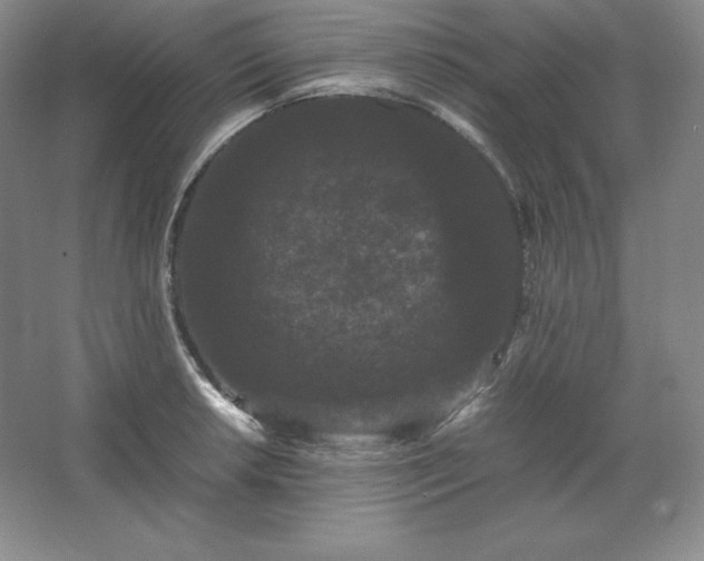 X0000062631042200512281550