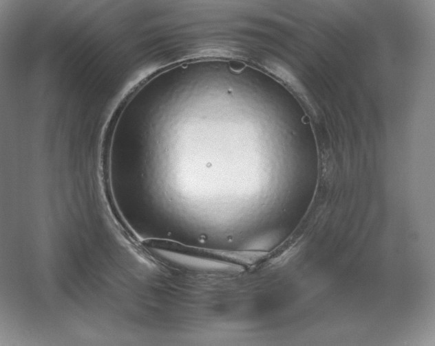 X0000062631043200512281550