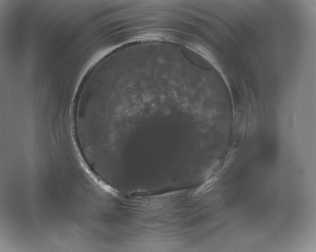 X0000062631045200512281550